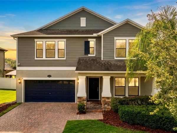 19343 PADDOCK VIEW DRIVE, TAMPA, FL 33647