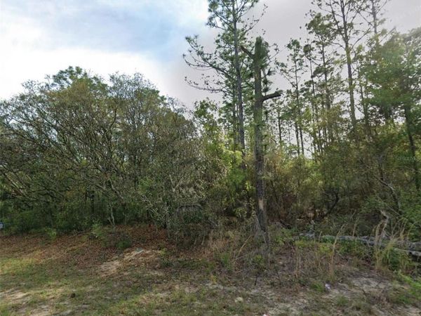 7745 N MALTESE DRIVE , CITRUS SPRINGS, FL 34433