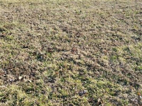Green Acres 3.25 AC , Springdale, AR 72764