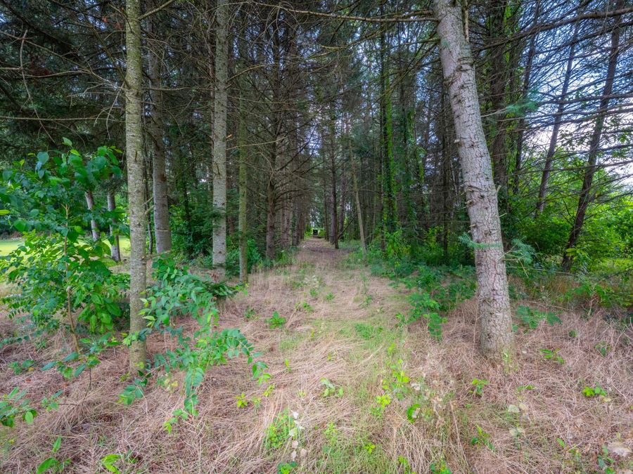 Property Image 56