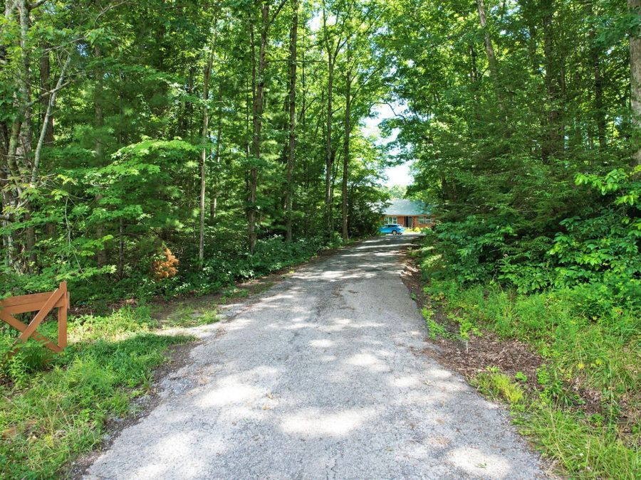 Property Image 61