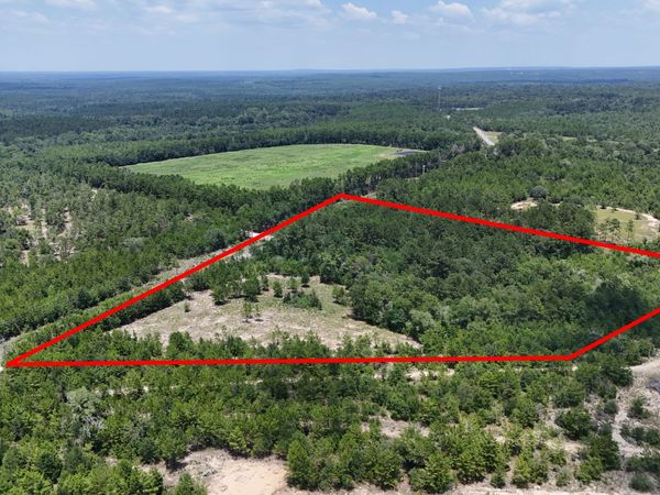10.29 ACRES Holmes Valley Road, Vernon, FL 32462