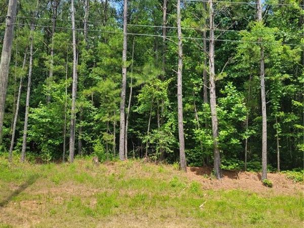 00 Bohannon Road , Grantville, GA 30220