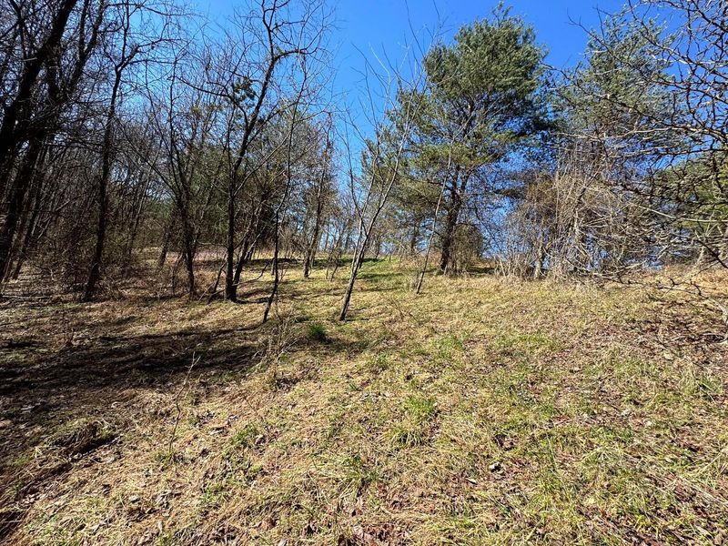 1031 Poplar Ridge Road , Unit (Ponds Pop, Gallipolis, OH 45631 Photo 15
