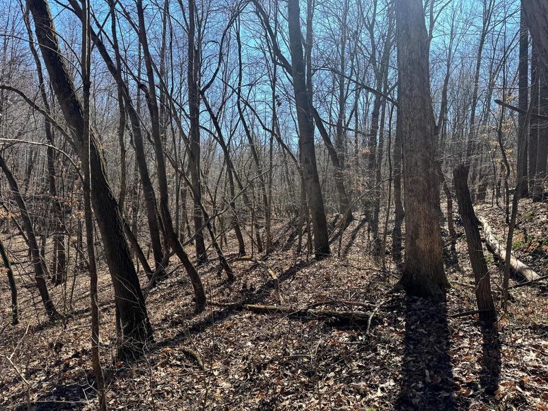 1031 Poplar Ridge Road , Unit (Ponds Pop, Gallipolis, OH 45631 Photo 6