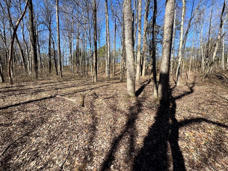 1031 Poplar Ridge Road , Unit (Ponds Pop, Gallipolis, OH 45631 Photo 8