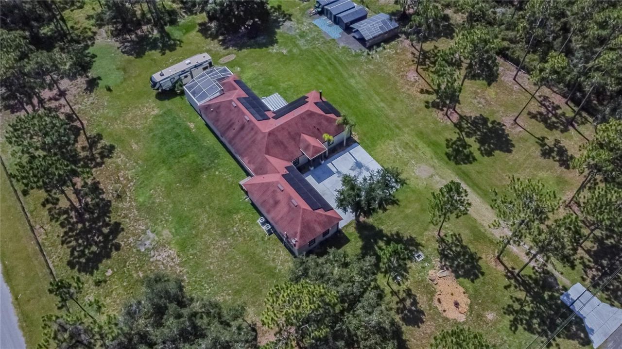 13305 Lacebark Pine Road, Orlando, FL 32832 Photo