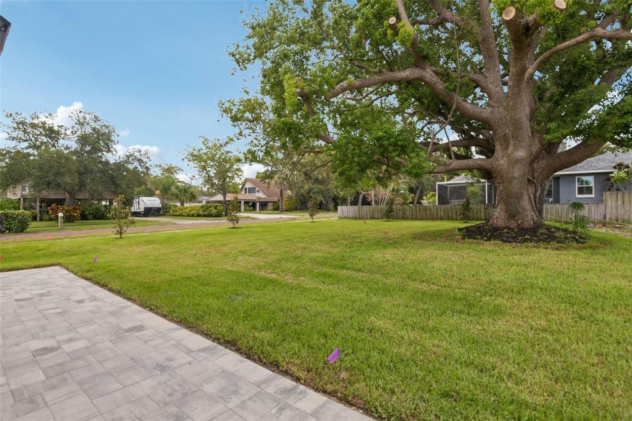 96 Shore Drive, Tarpon Springs, FL 34689 Photo