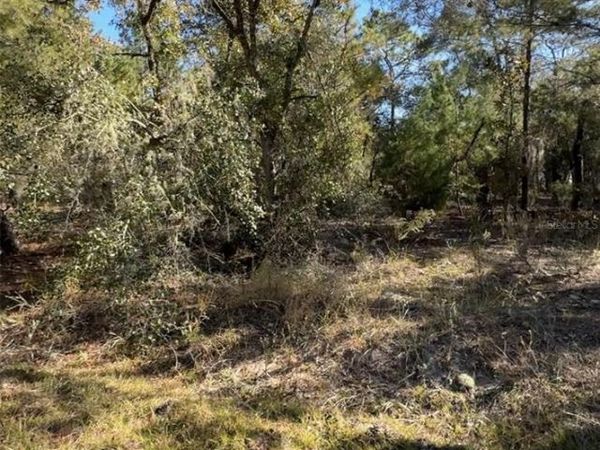204 WALES STREET , INTERLACHEN, FL 32148