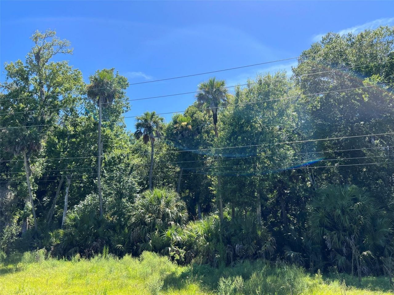 Old Mission Road, New Smyrna Beach, FL 32168 Photo