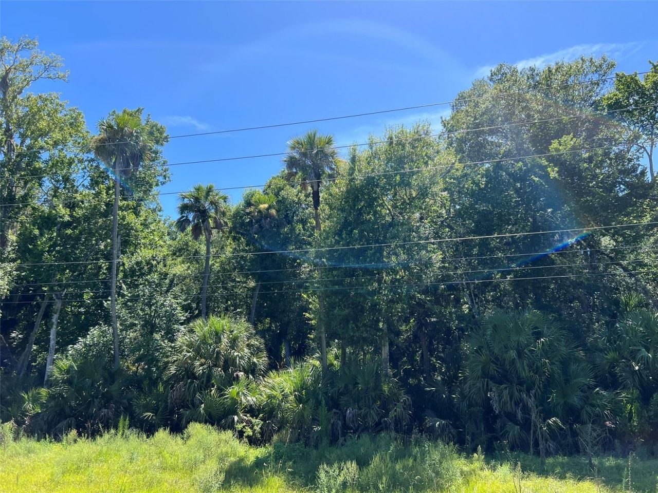 Old Mission Road, New Smyrna Beach, FL 32168 Photo