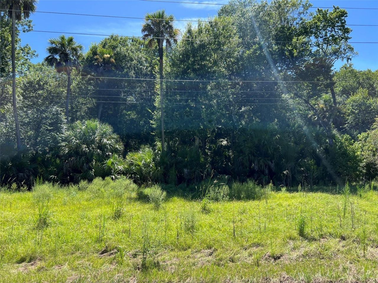 Old Mission Road, New Smyrna Beach, FL 32168 Photo