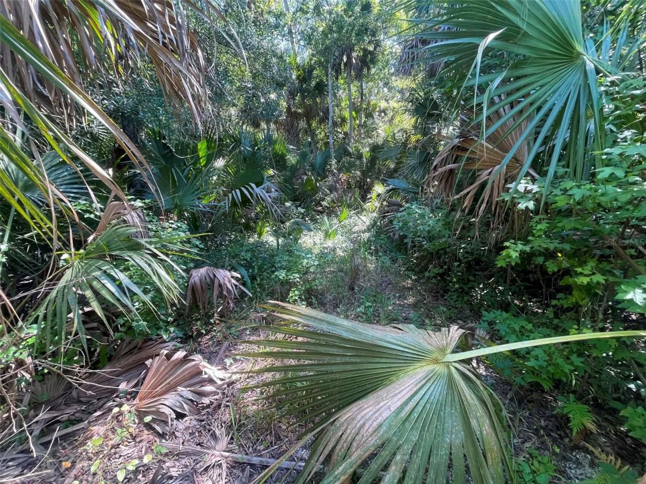 Old Mission Road, New Smyrna Beach, FL 32168 Photo
