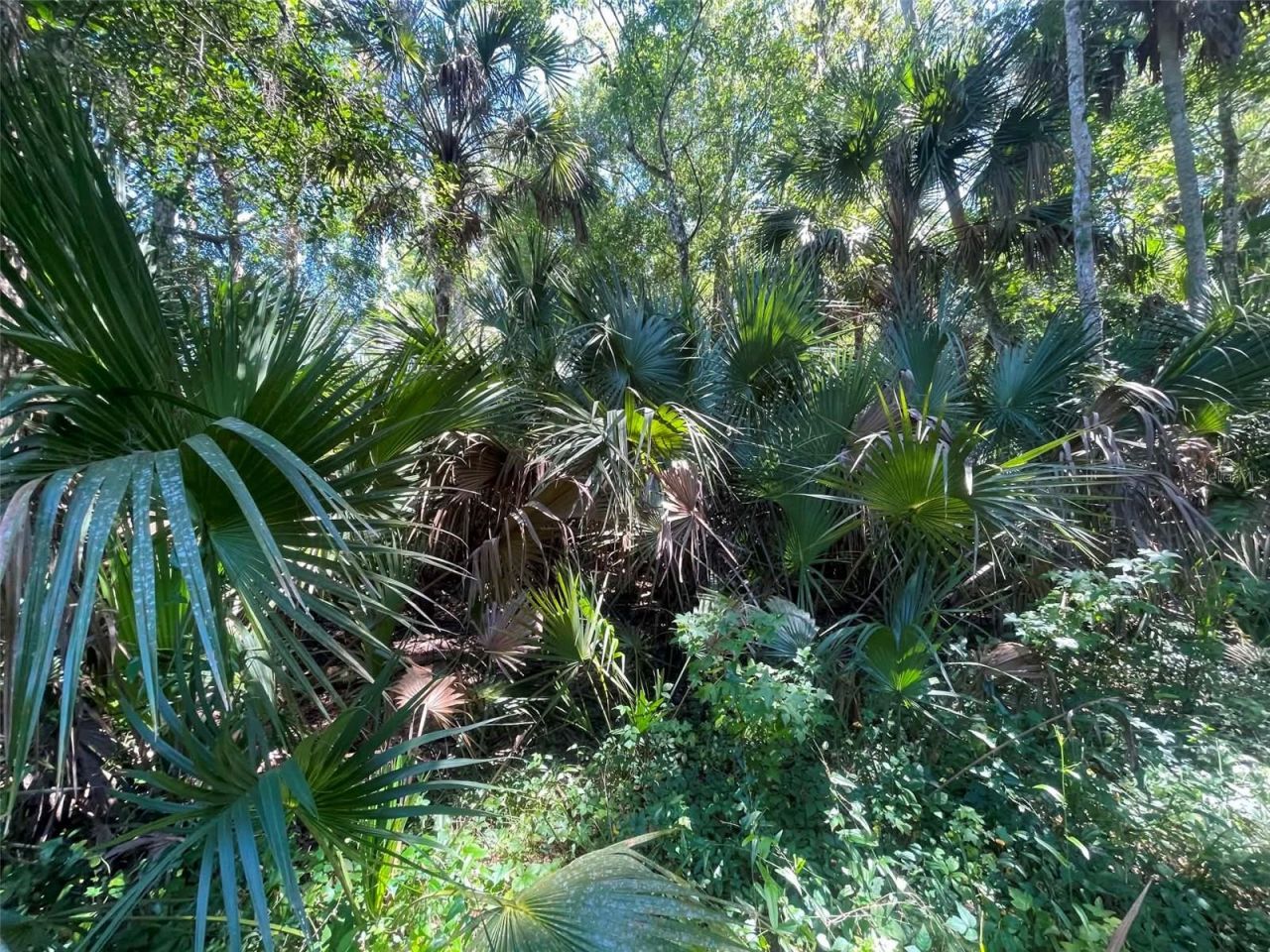 Old Mission Road, New Smyrna Beach, FL 32168 Photo