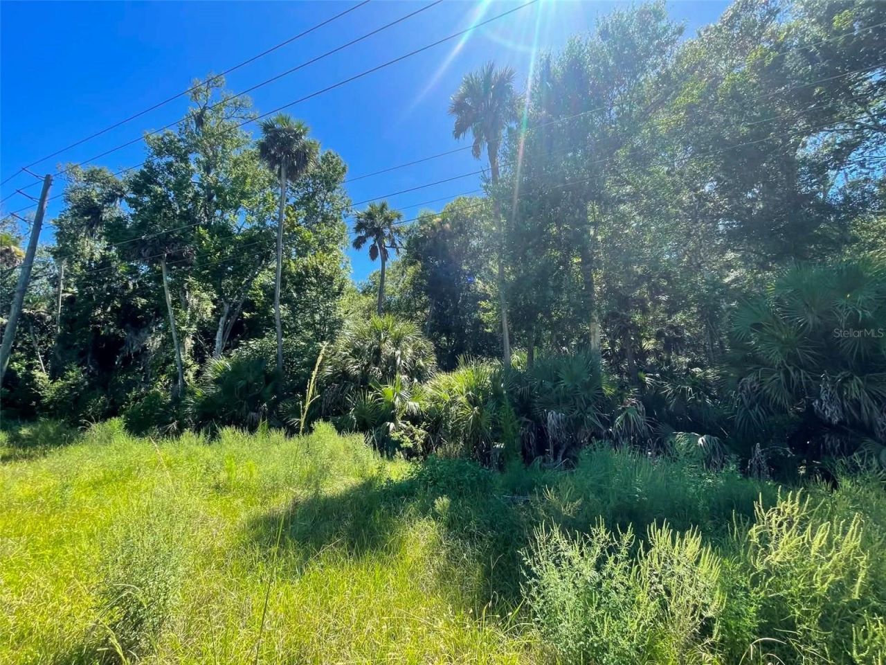 Old Mission Road, New Smyrna Beach, FL 32168 Photo