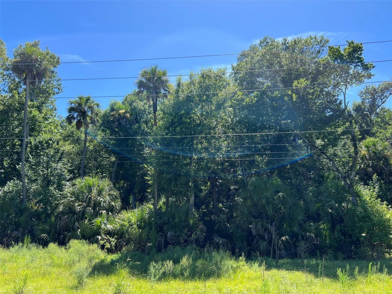 Old Mission Road, New Smyrna Beach, FL 32168 Photo