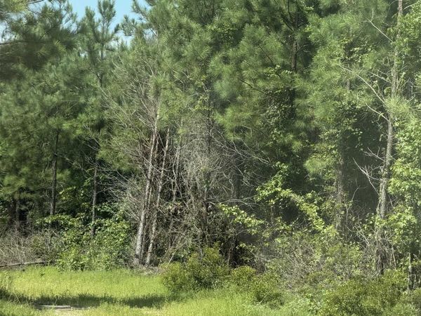 Rosston, AR 71858