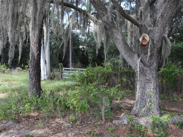 31328 SAND LAKE DRIVE , MOUNT DORA, FL 32757