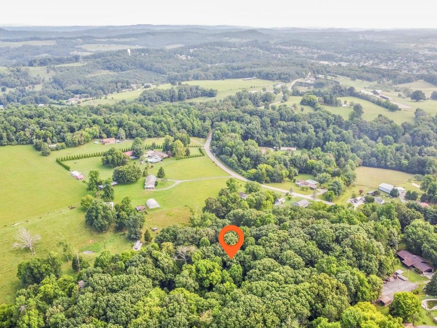 Property Image 11