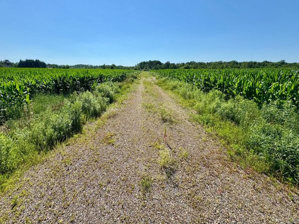 17891 90th Avenue, Milaca, MN 56353