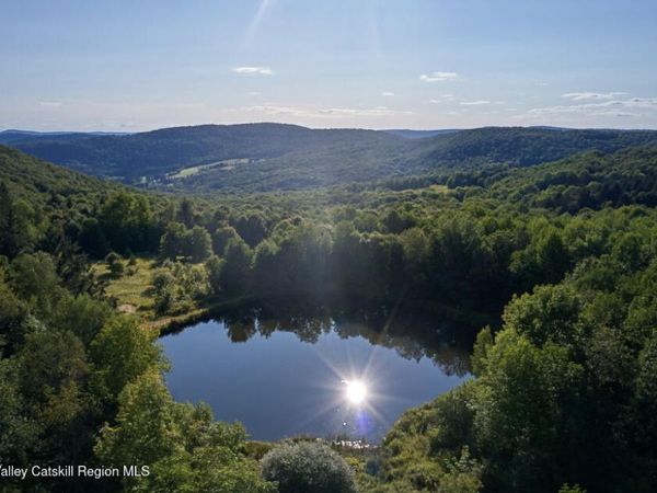 1855 Davis Hollow Road, Andes, NY 13731
