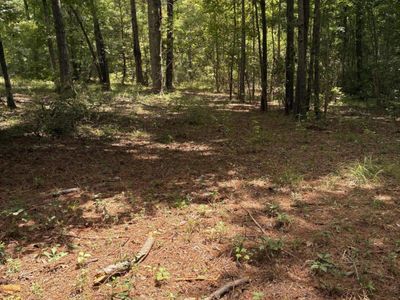 Santee, SC 29142