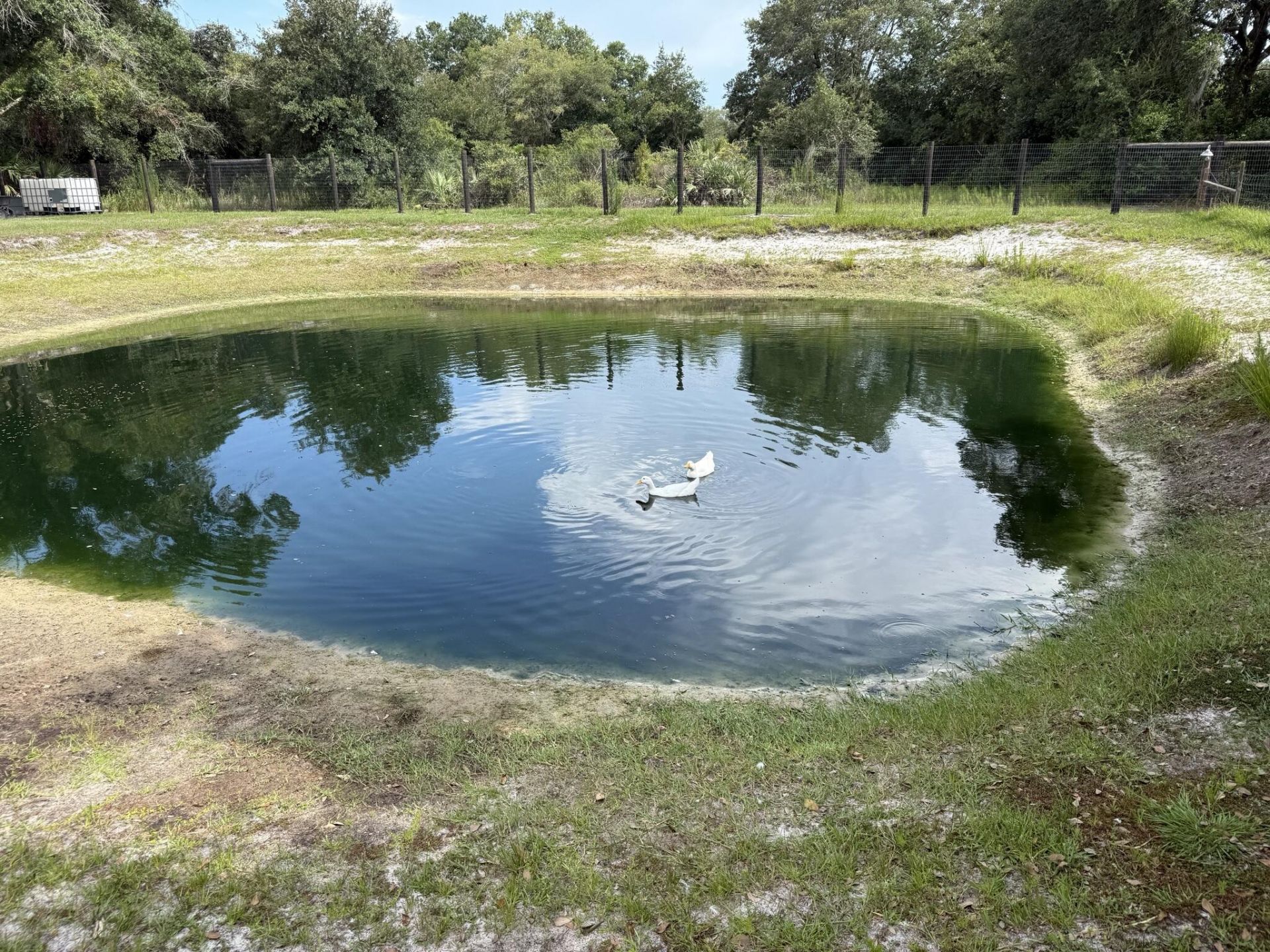 19084 NW 306th Street, Okeechobee, FL 34972 Photo