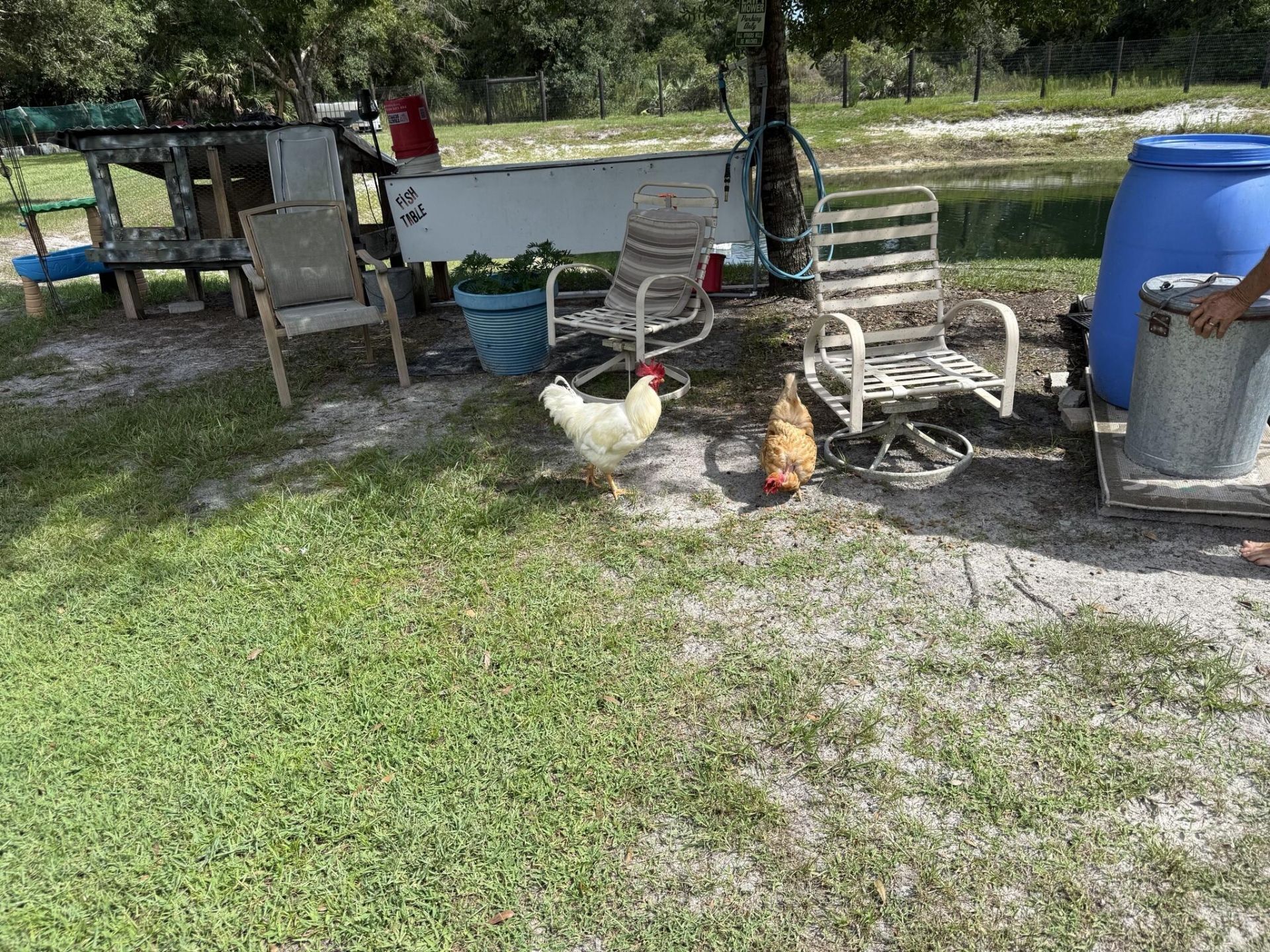 19084 NW 306th Street, Okeechobee, FL 34972 Photo