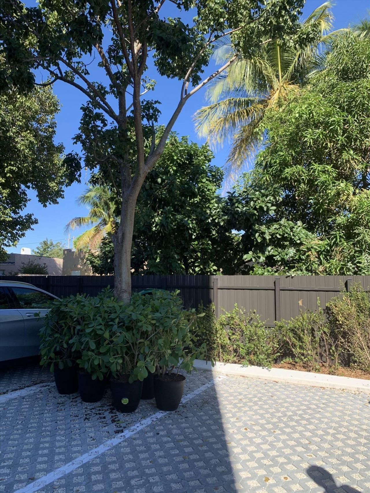 1053 NW 29th Street, Unit Casa Flamb, Miami, FL 33127 Photo