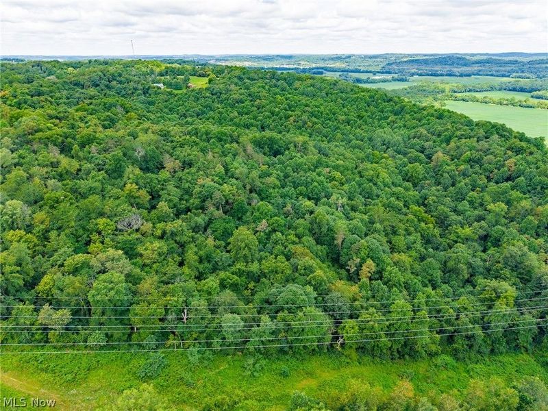 Hill Road, Dresden, OH 43821 Photo 15
