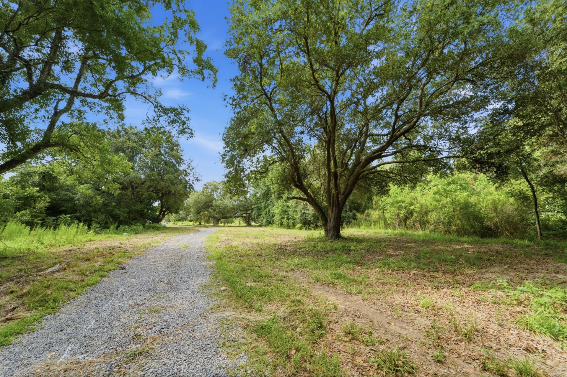 0 Holly Creek Road Photo 10