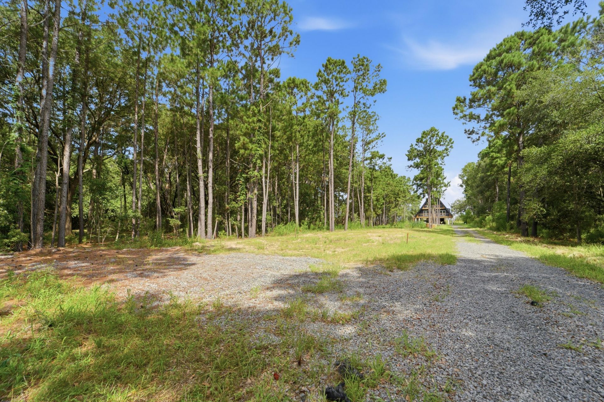 0 Holly Creek Road Photo 11