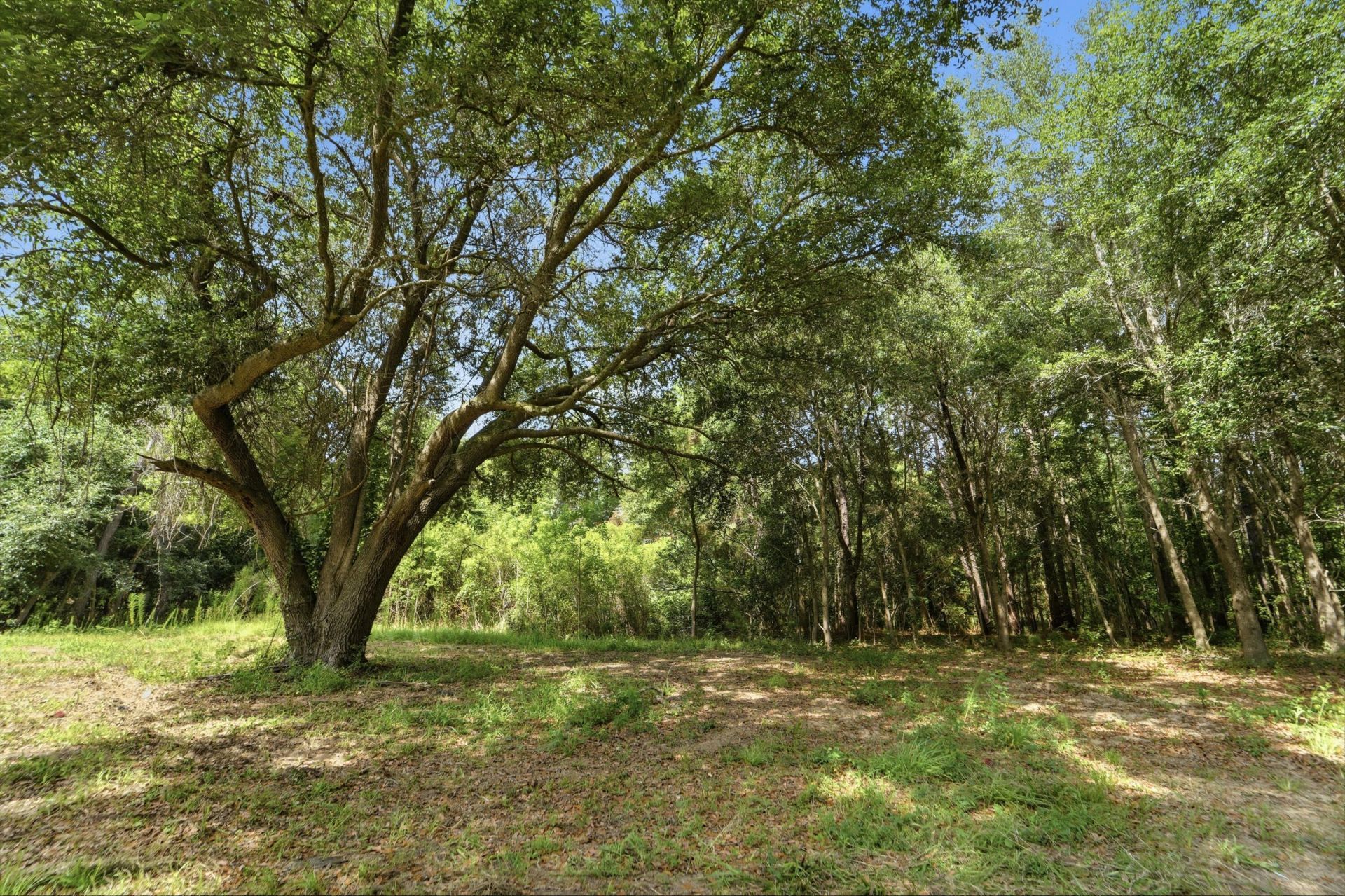 0 Holly Creek Road Photo 13