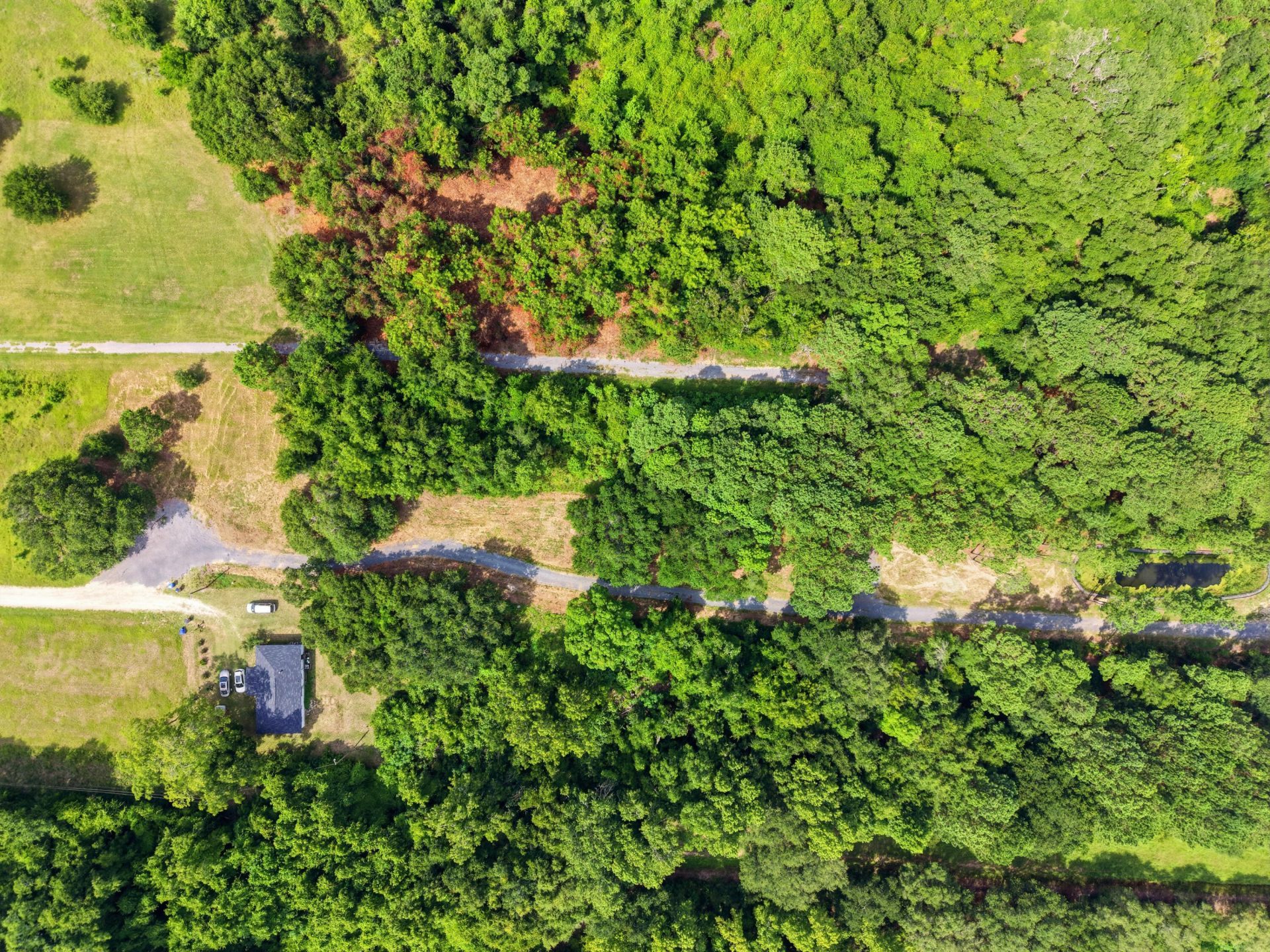 0 Holly Creek Road Photo 16