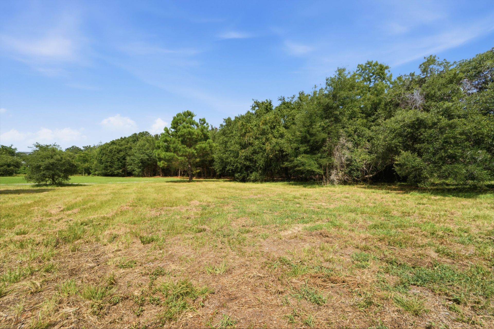 0 Holly Creek Road Photo 17