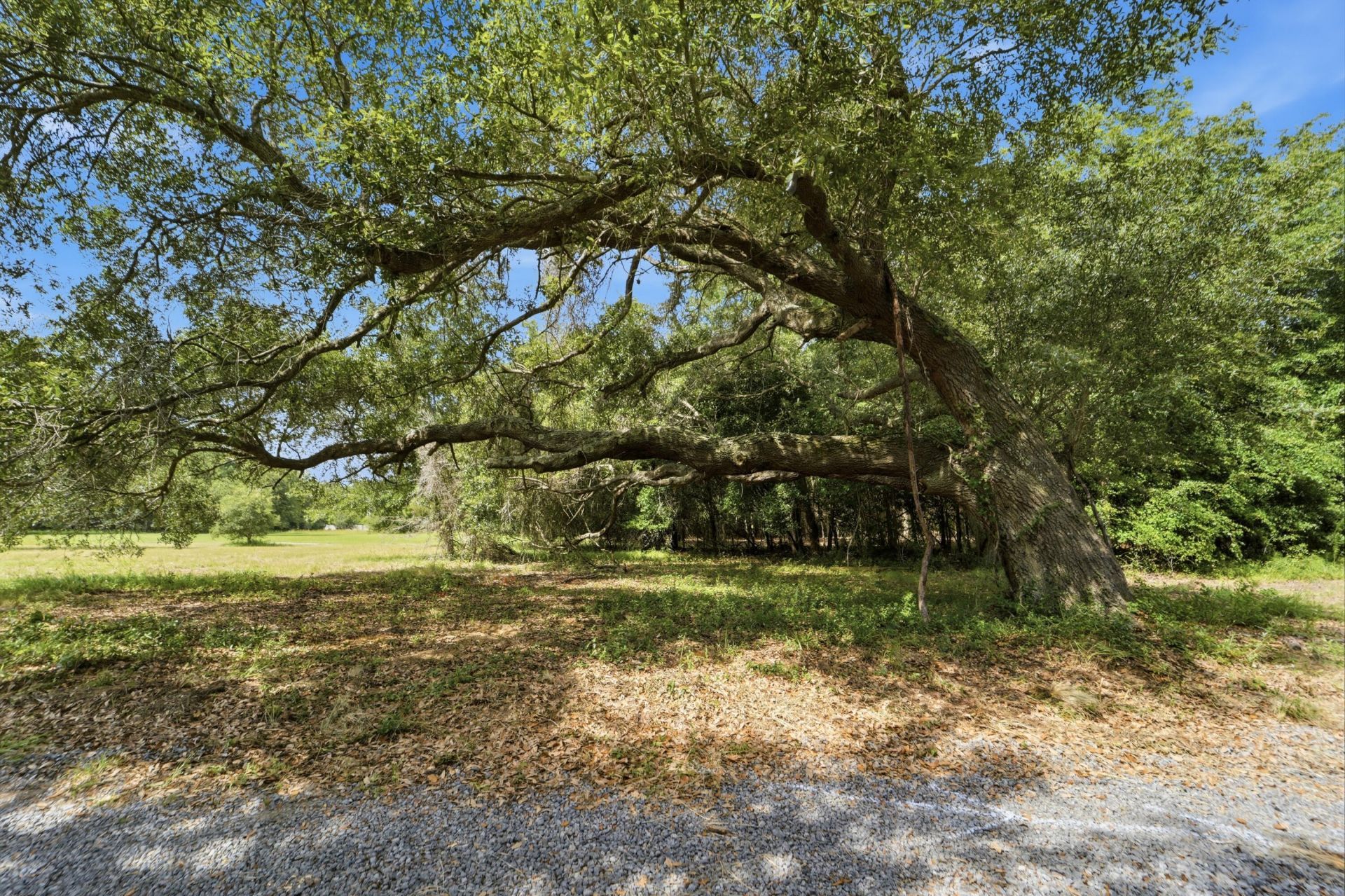0 Holly Creek Road Photo 18