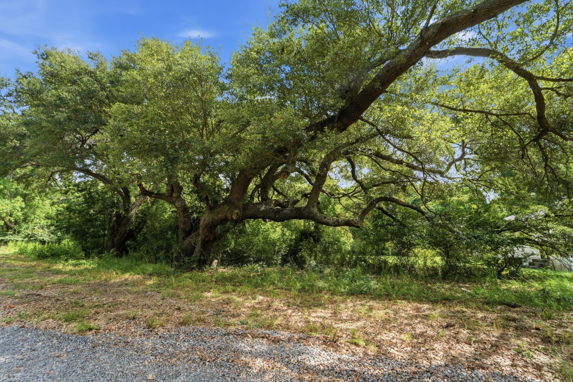0 Holly Creek Road Photo 19
