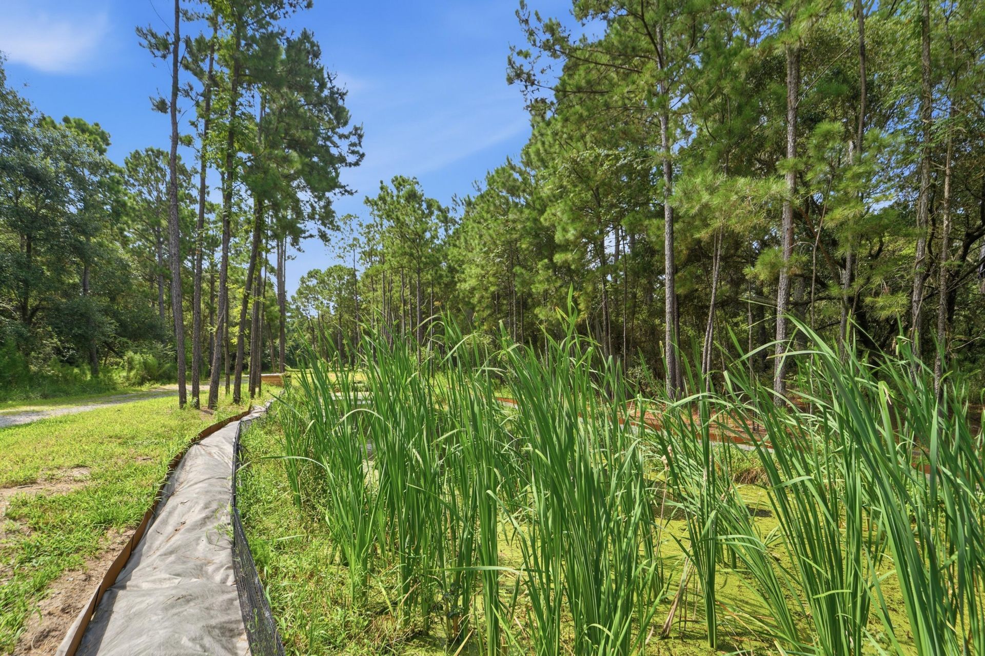 0 Holly Creek Road Photo 28