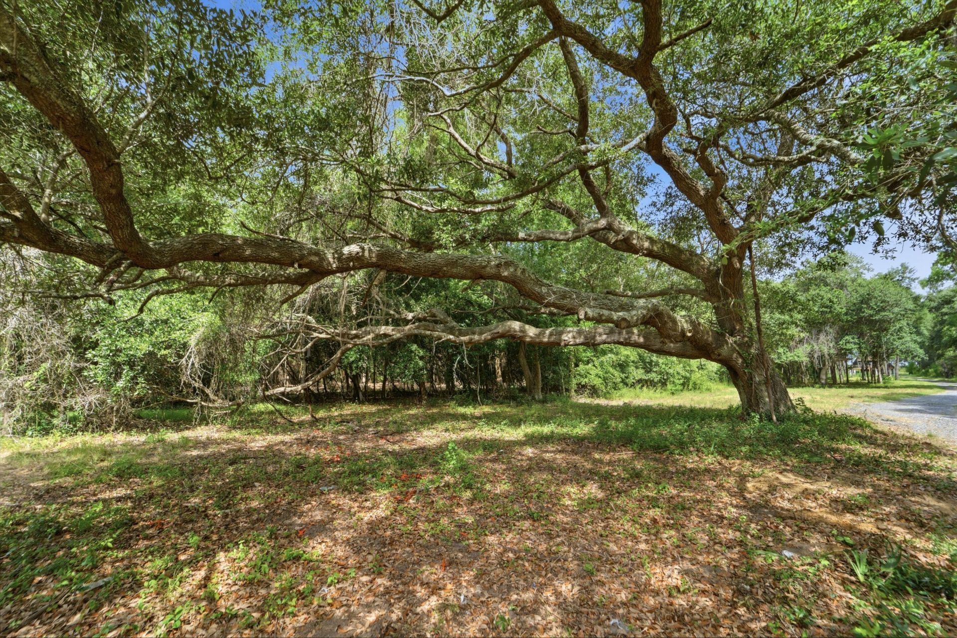 0 Holly Creek Road Photo 9