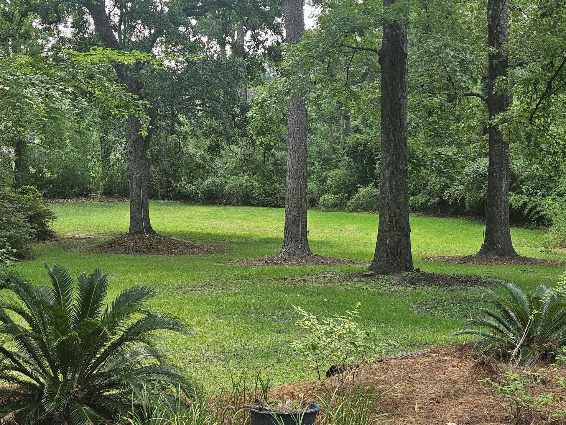 108 Hampton Avenue Photo 36