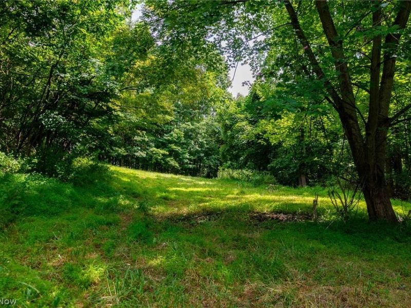 Hill Road, Dresden, OH 43821 Photo 10