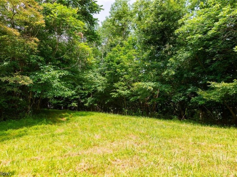 Hill Road, Dresden, OH 43821 Photo 11