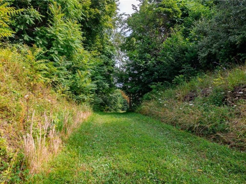 Hill Road, Dresden, OH 43821 Photo 12