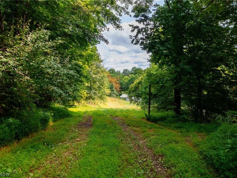 Hill Road, Dresden, OH 43821 Photo 13