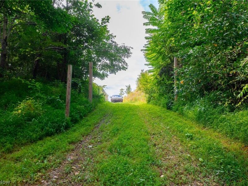 Hill Road, Dresden, OH 43821 Photo 14