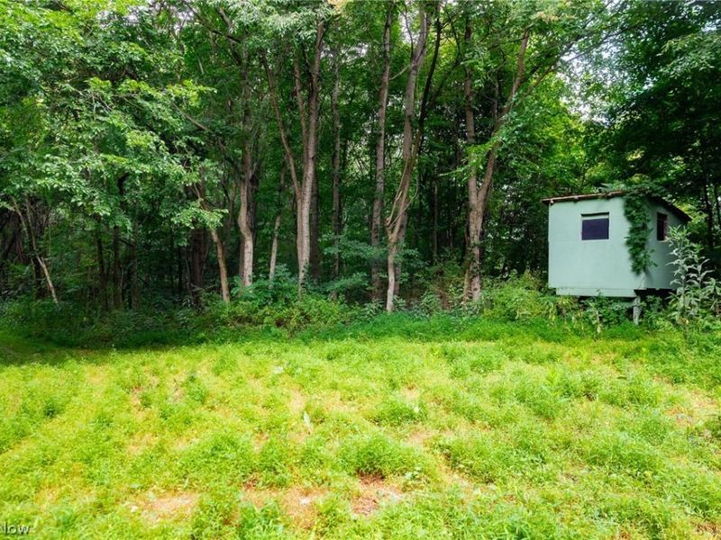 Hill Road, Dresden, OH 43821 Photo 15
