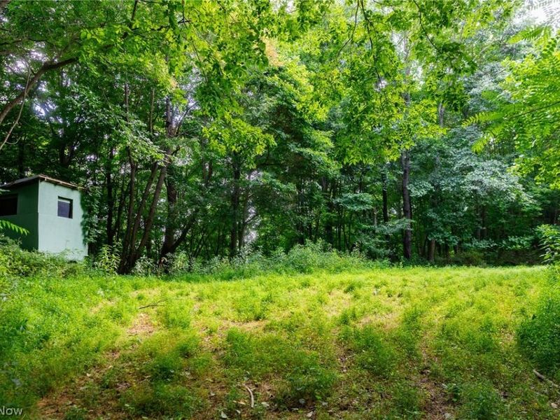 Hill Road, Dresden, OH 43821 Photo 16