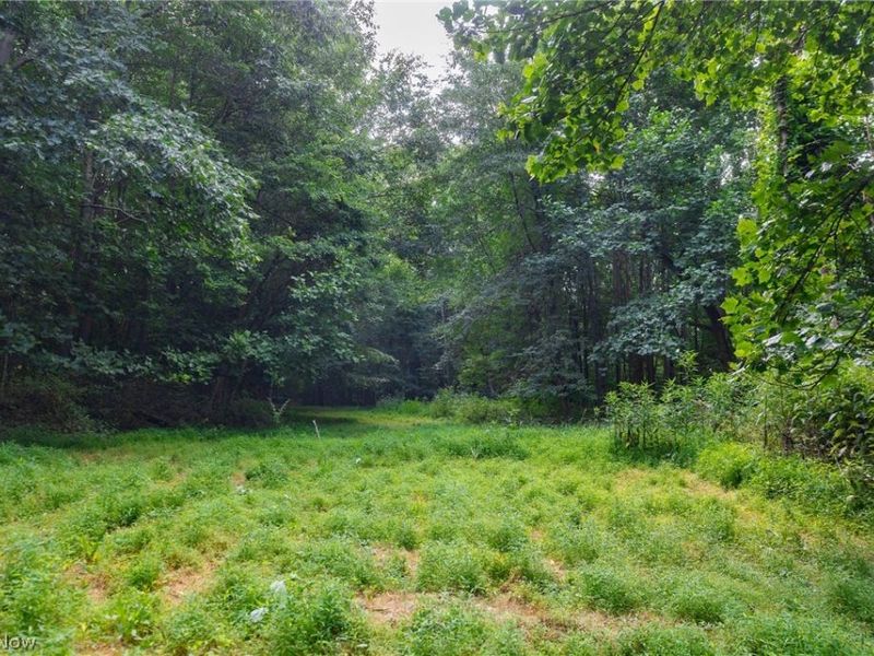 Hill Road, Dresden, OH 43821 Photo 17