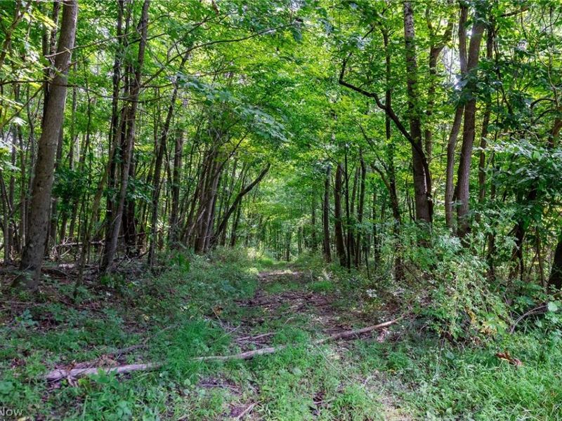 Hill Road, Dresden, OH 43821 Photo 19