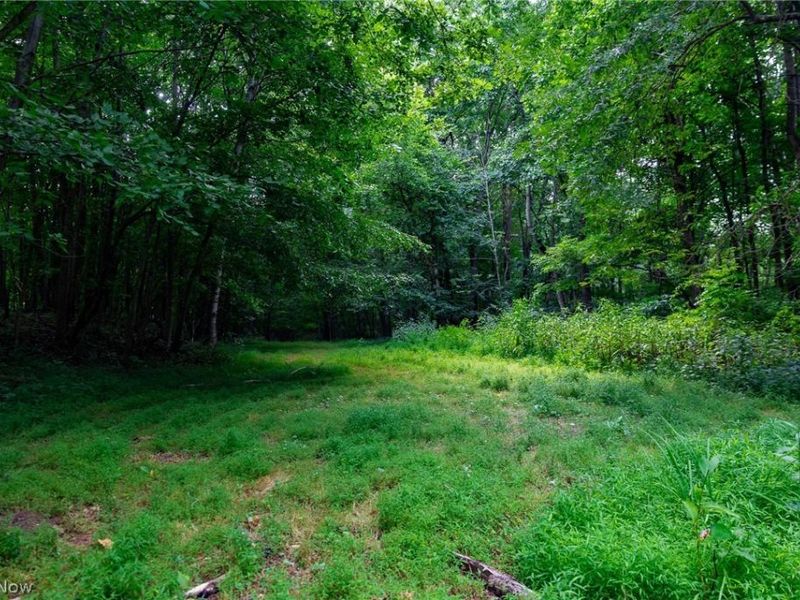 Hill Road, Dresden, OH 43821 Photo 28